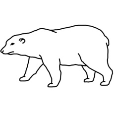 baer.jpg